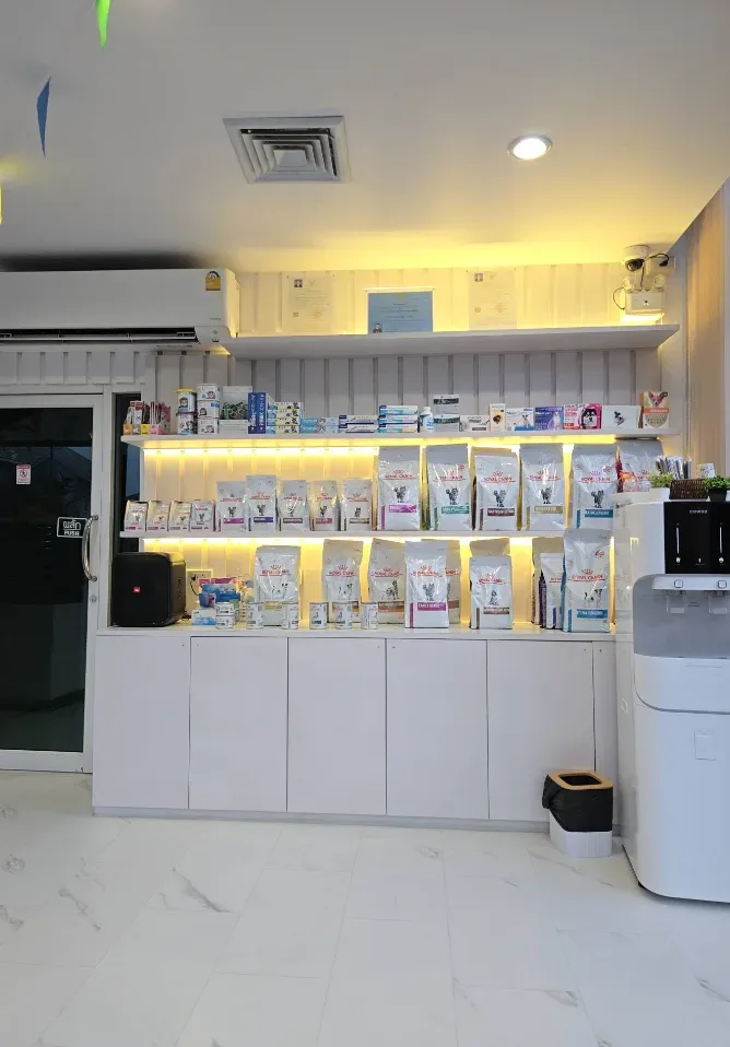 NW Animal Hospital โรงพยาบาลสัตว์ เอ็นดับบลิว ราชพฤกษ์ คลินิก-โรงพยาบาลสัตว์ นนทบุรี 2