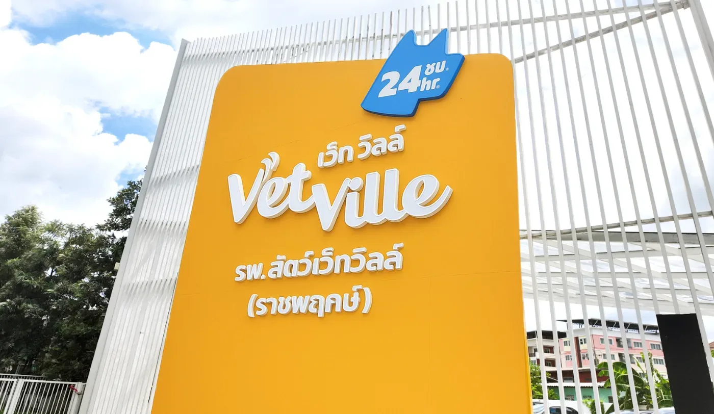 Vetville Pet Hospital Ratchaphruek โรงพยาบาลสัตว์เว็ทวิลล์ ราชพฤกษ์ คลินิก-โรงพยาบาลสัตว์ นนทบุรี