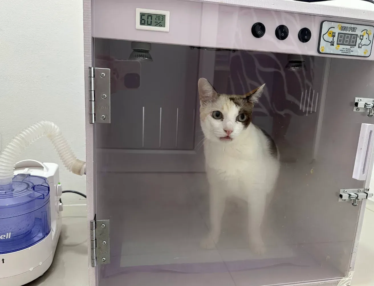 คลินิกรักษาสัตว์เจเอส JS Pet Clinic คลินิก-โรงพยาบาลสัตว์ นนทบุรี 2