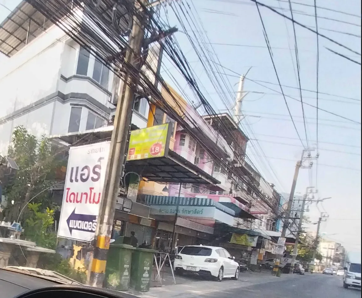 สบายสบายรักษาสัตว์
