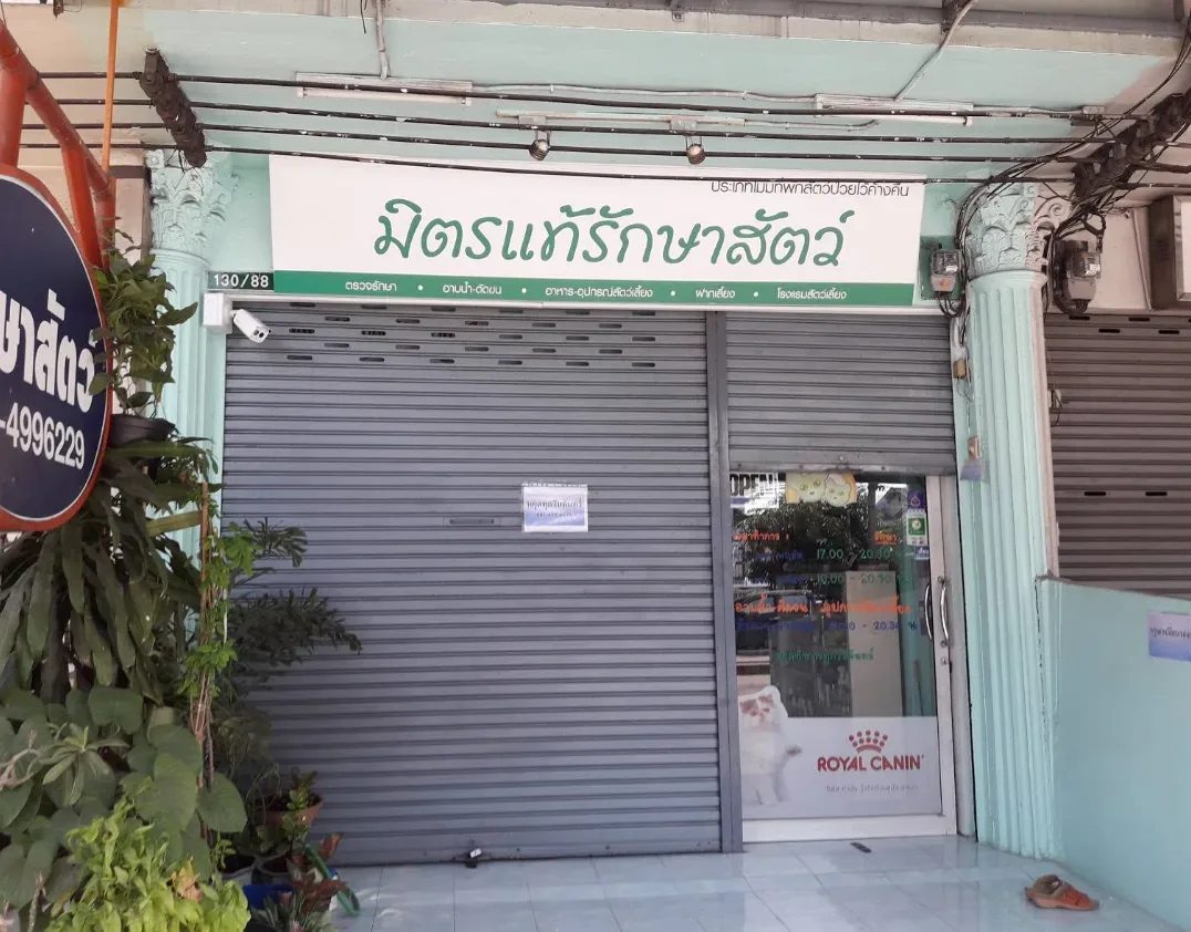 มิตรแท้รักษาสัตว์ คลินิก-โรงพยาบาลสัตว์ นนทบุรี