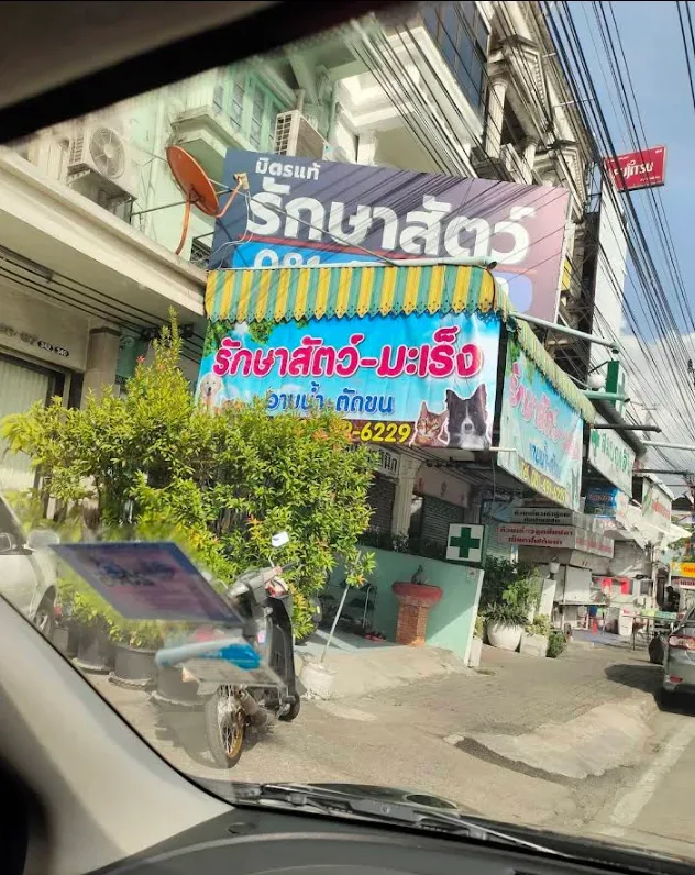 มิตรแท้รักษาสัตว์ คลินิก-โรงพยาบาลสัตว์ นนทบุรี 3