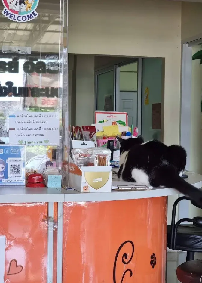 บางบัวทองสัตวแพทย์ คลินิก-โรงพยาบาลสัตว์ นนทบุรี 2