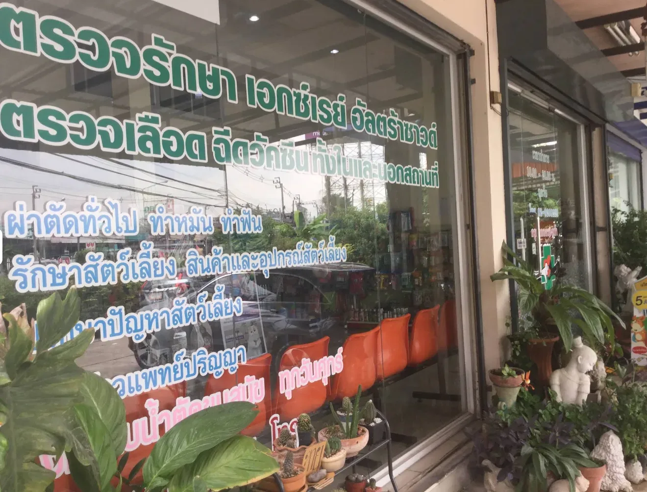 บางบัวทองสัตวแพทย์ คลินิก-โรงพยาบาลสัตว์ นนทบุรี 6