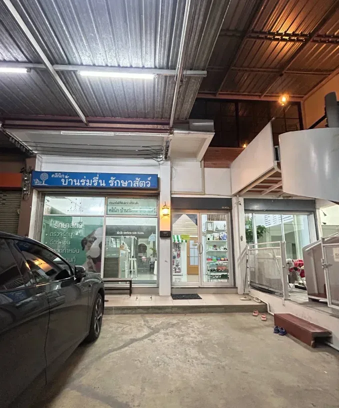 คลินิกบ้านร่มรื่นรักษาสัตว์ คลินิก-โรงพยาบาลสัตว์ นนทบุรี 4