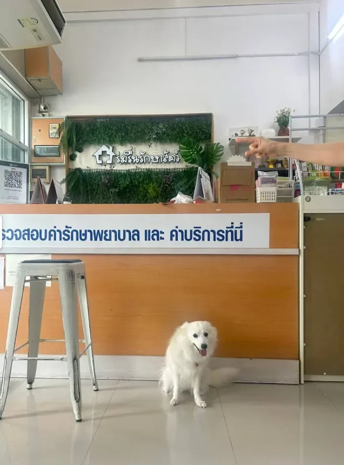 คลินิกบ้านร่มรื่นรักษาสัตว์