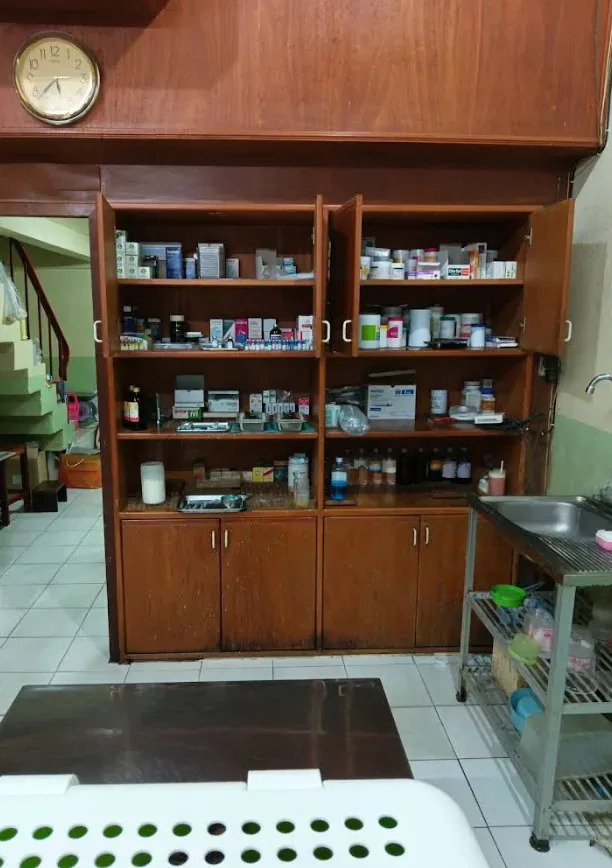 คลีนิค สัตวแพทย์ สุรจิต คลินิก-โรงพยาบาลสัตว์ นนทบุรี 5