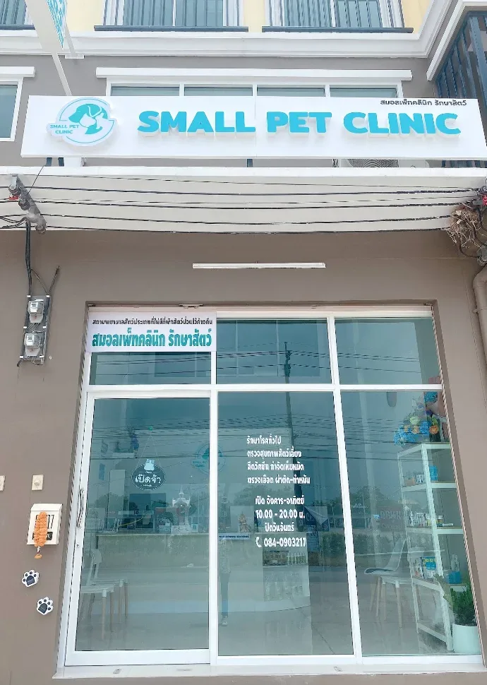 สมอลเพ็ทคลินิก รักษาสัตว์ – SMALL PET CLINIC คลินิก-โรงพยาบาลสัตว์ นนทบุรี 6