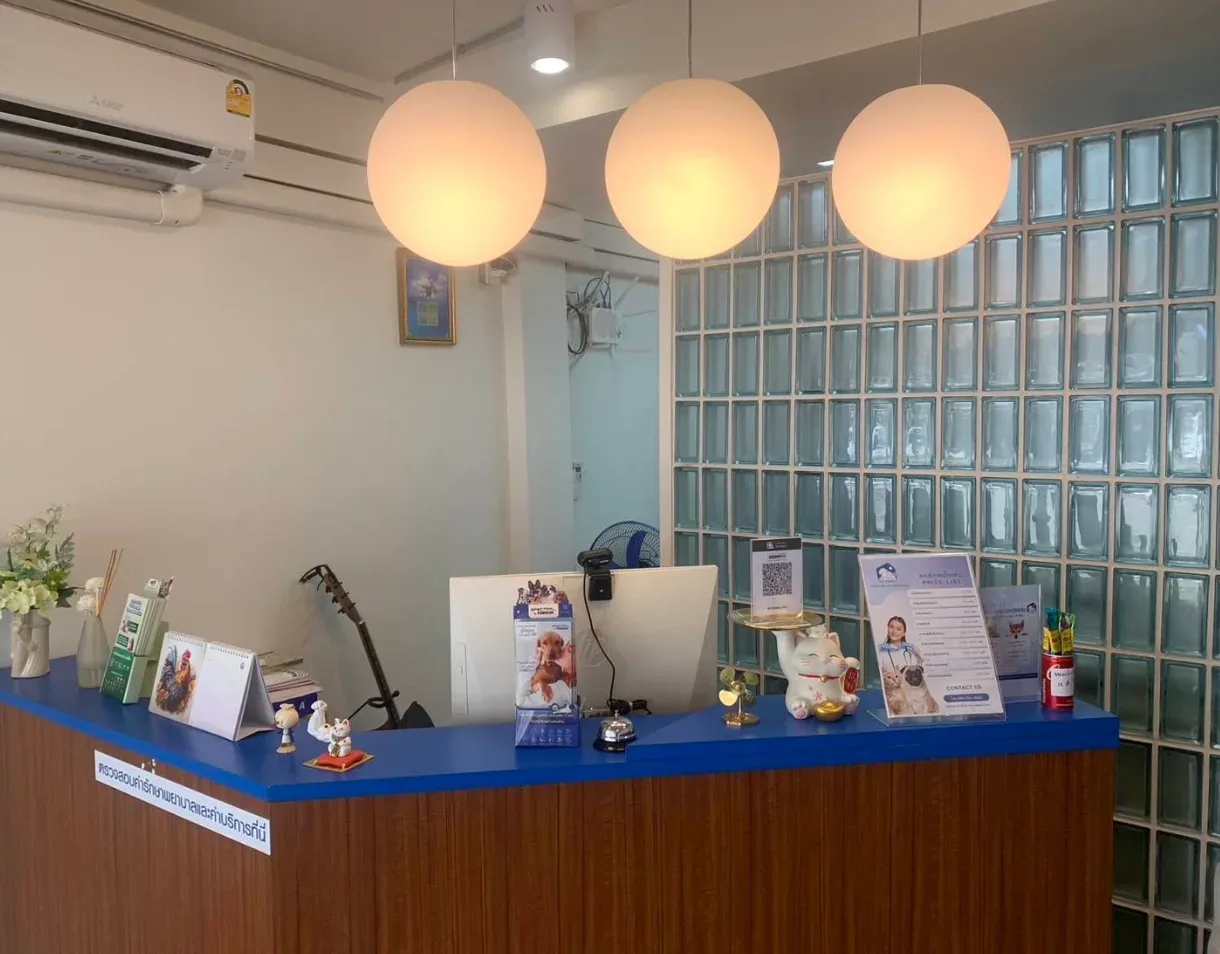 คลินิกรักษาสัตว์ เวท เเฟมิลี่ (Vet Family clinic) เเยกเเคราย คลินิก-โรงพยาบาลสัตว์ นนทบุรี 2