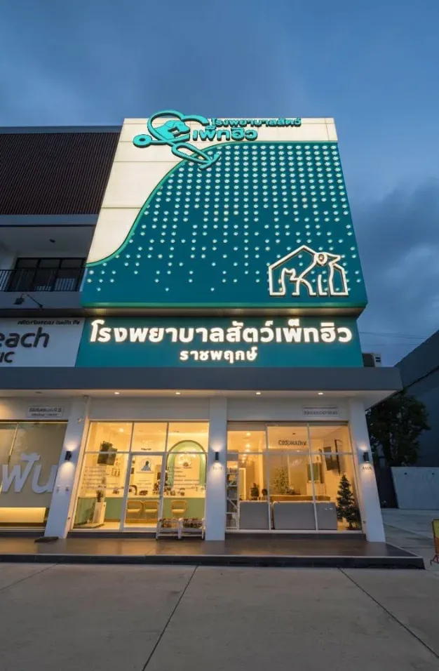 Pet Heal Animal Hospital โรงพยาบาลสัตว์เพ็ทฮิว ราชพฤกษ์ คลินิก-โรงพยาบาลสัตว์ นนทบุรี