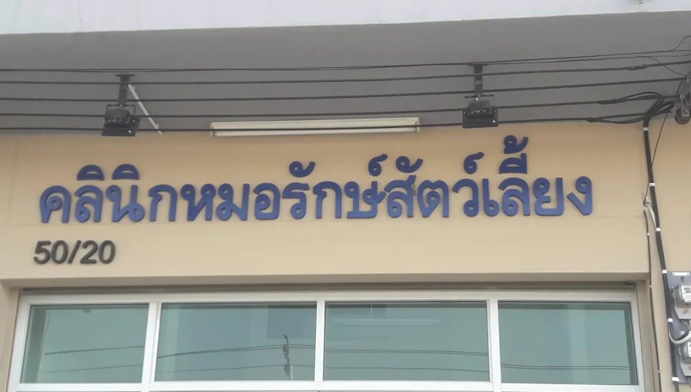 คลินิกหมอรักษ์สัตว์เลี้ยง คลินิก-โรงพยาบาลสัตว์ นนทบุรี 2