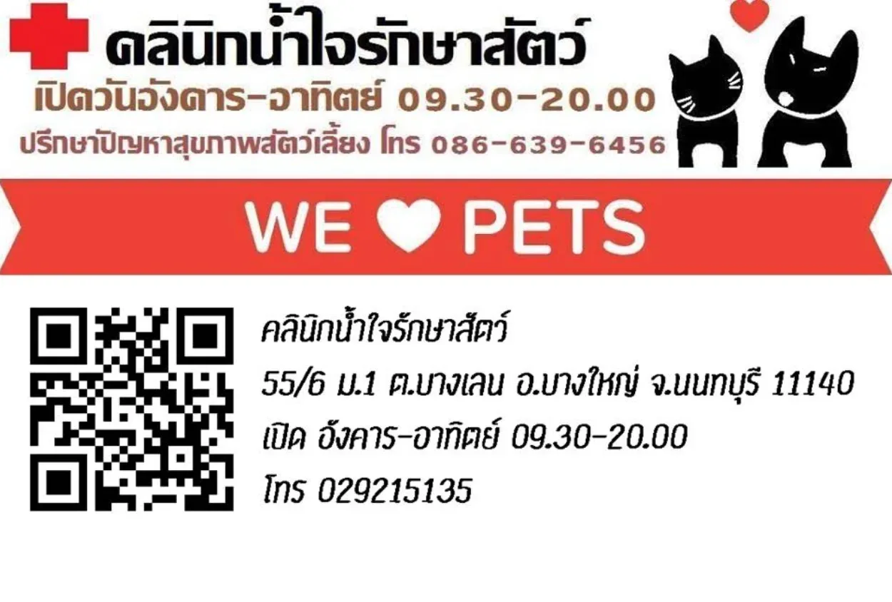 คลินิกน้ำใจรักษาสัตว์ คลินิก-โรงพยาบาลสัตว์ นนทบุรี 3