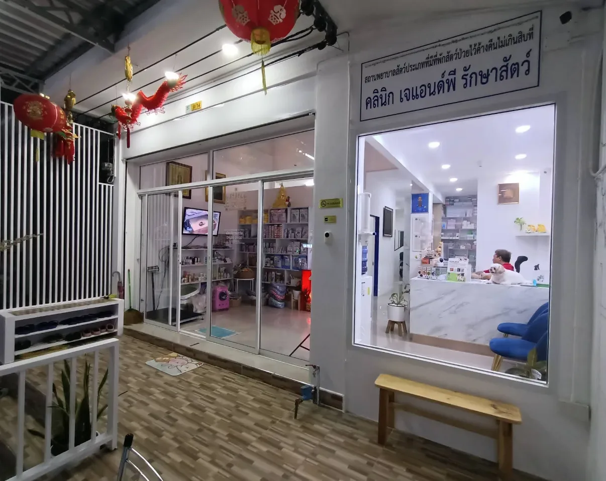 คลินิกเจแอนด์พีรักษาสัตว์ คลินิก-โรงพยาบาลสัตว์ นนทบุรี 6