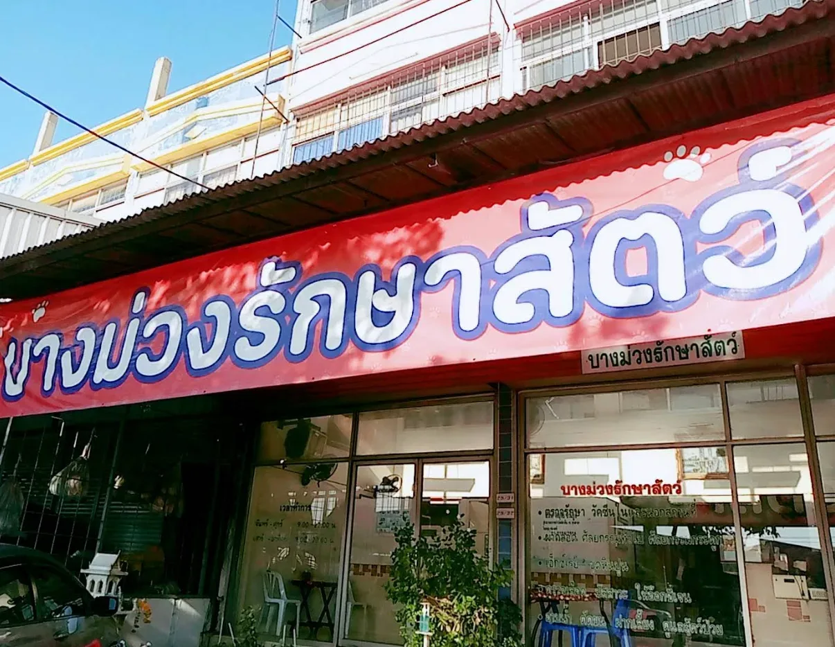 บางม่วงรักษาสัตว์ คลินิก-โรงพยาบาลสัตว์ นนทบุรี 2