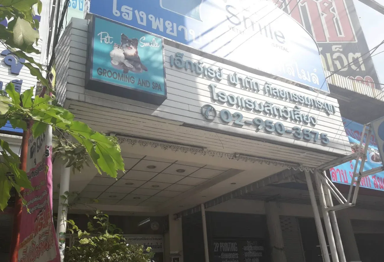 โรงพยาบาลสัตว์เพ็ทสไมล์ คลินิก-โรงพยาบาลสัตว์ นนทบุรี