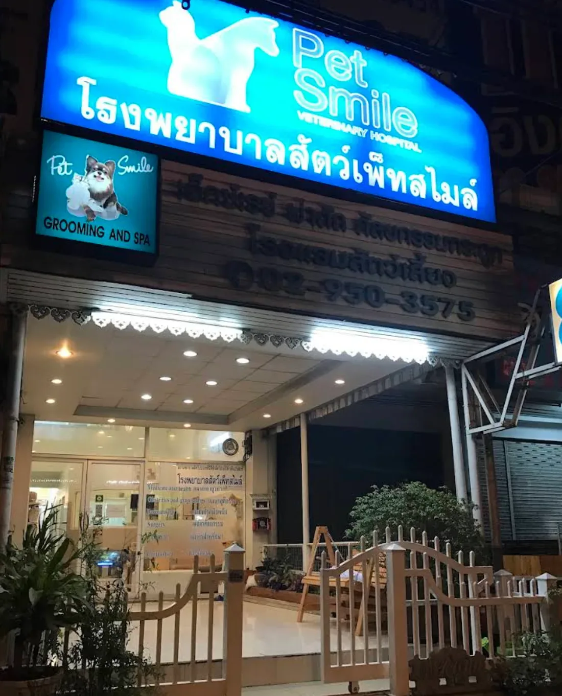 โรงพยาบาลสัตว์เพ็ทสไมล์ คลินิก-โรงพยาบาลสัตว์ นนทบุรี 2