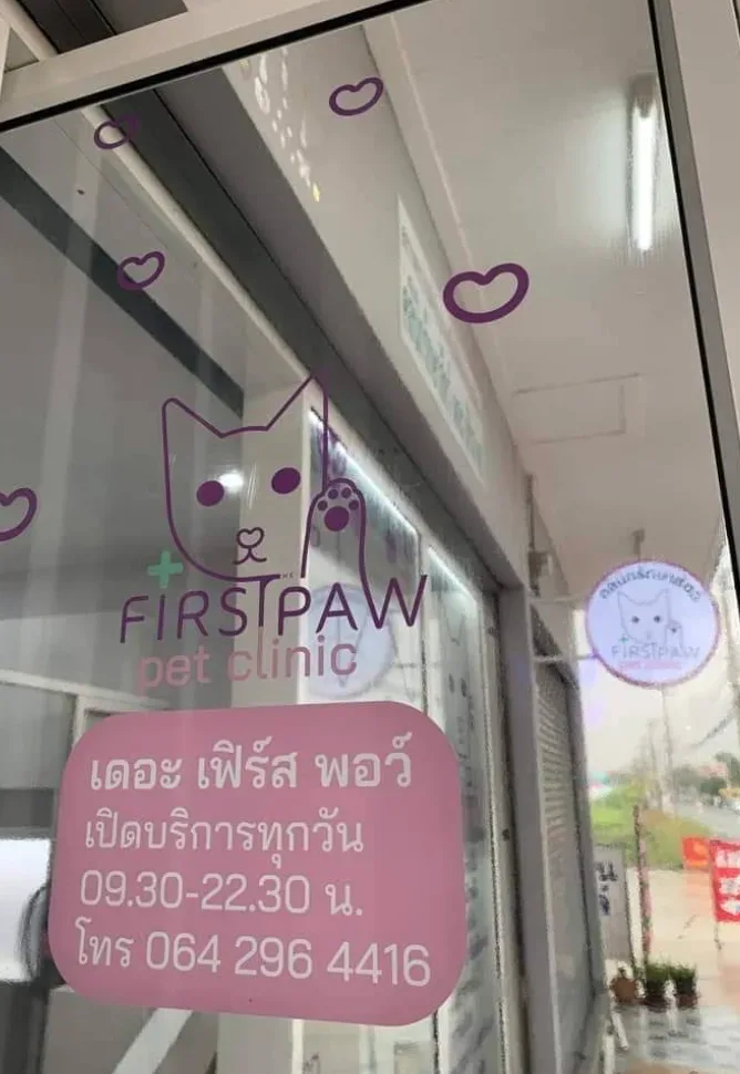 คลินิกรักษาสัตว์ เดอะ เฟิร์ส พอว์ คลินิก-โรงพยาบาลสัตว์ นนทบุรี 2