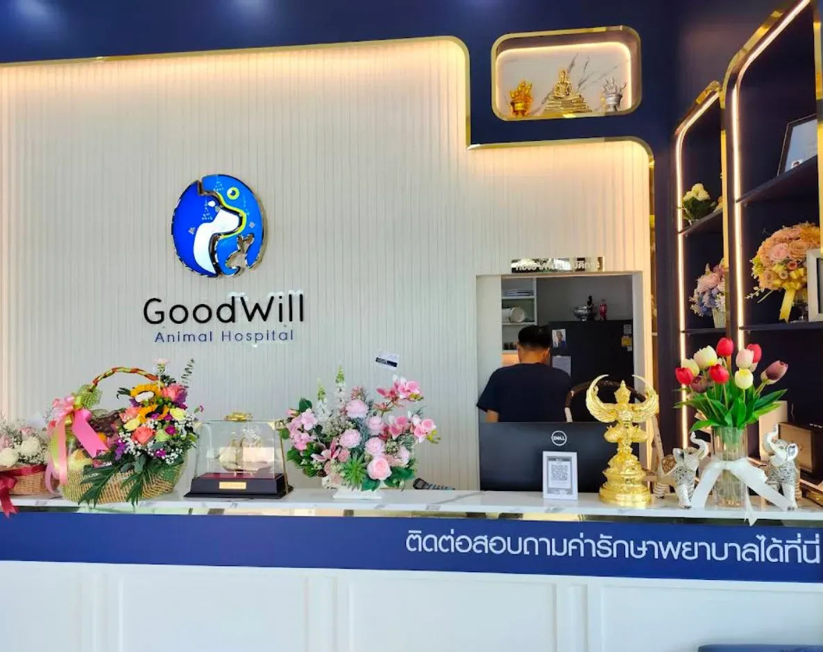 โรงพยาบาลสัตว์กู๊ดวิลล์ แจ้งวัฒนะ-ชัยพฤกษ์ คลินิก-โรงพยาบาลสัตว์ นนทบุรี 3