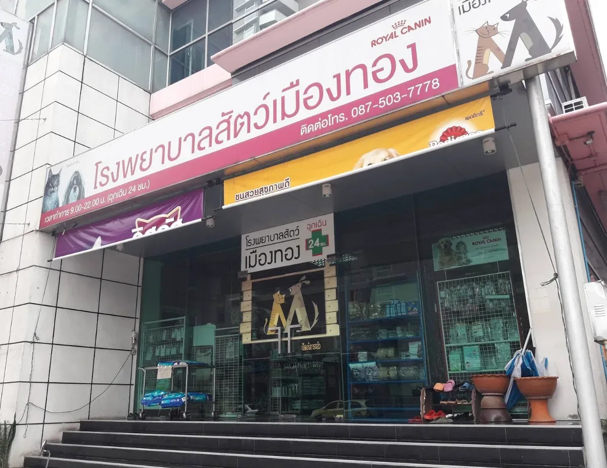 โรงพยาบาลสัตว์เมืองทอง คลินิก-โรงพยาบาลสัตว์ นนทบุรี