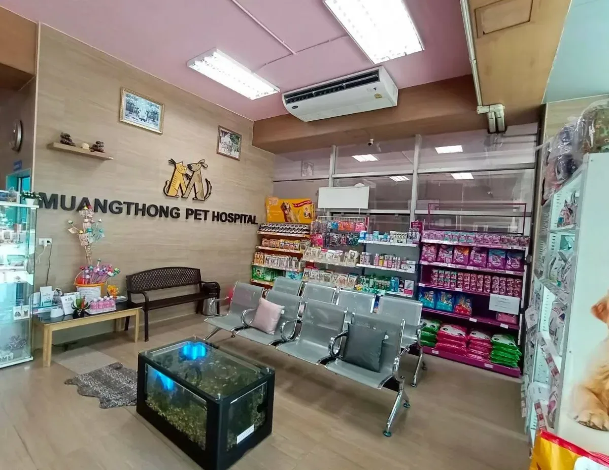 โรงพยาบาลสัตว์เมืองทอง คลินิก-โรงพยาบาลสัตว์ นนทบุรี 2