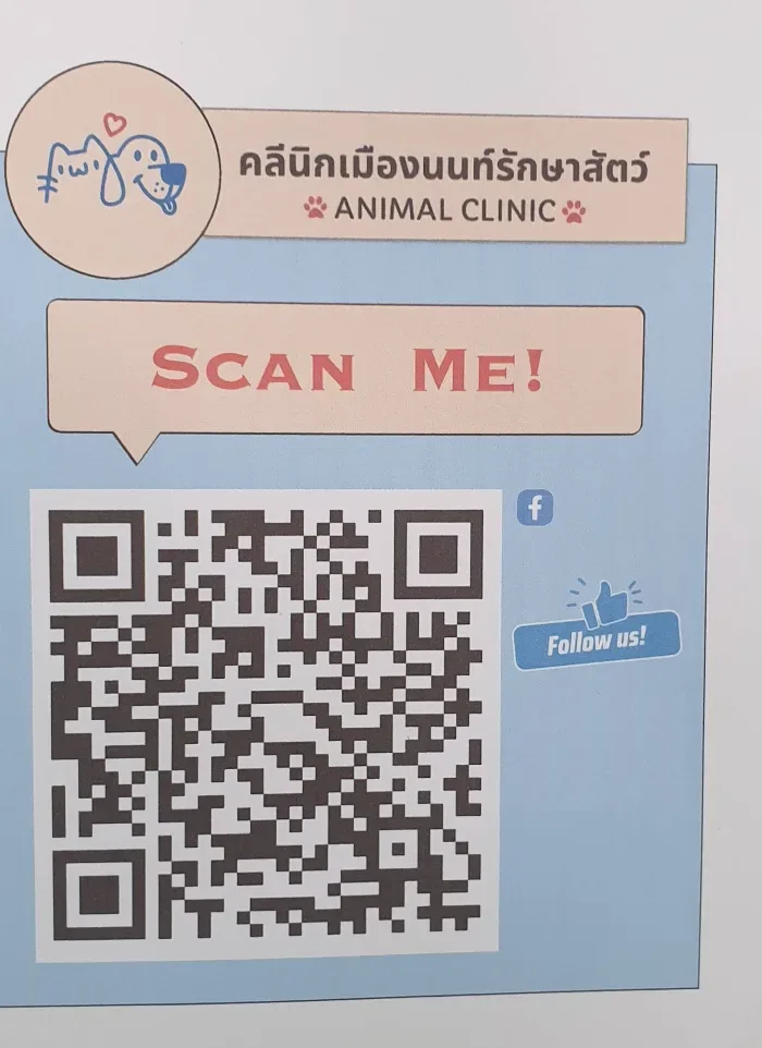เมืองนนท์รักษาสัตว์ คลินิก-โรงพยาบาลสัตว์ นนทบุรี 2